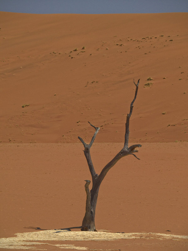 Sossusvlei